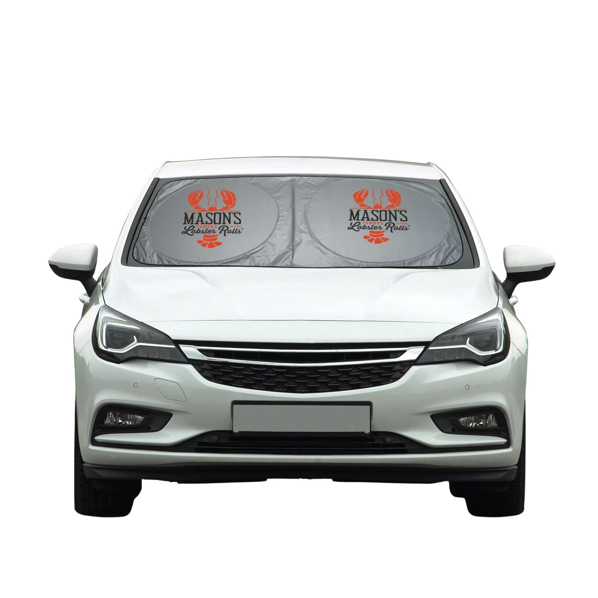 Dual Panel Car Shade 1