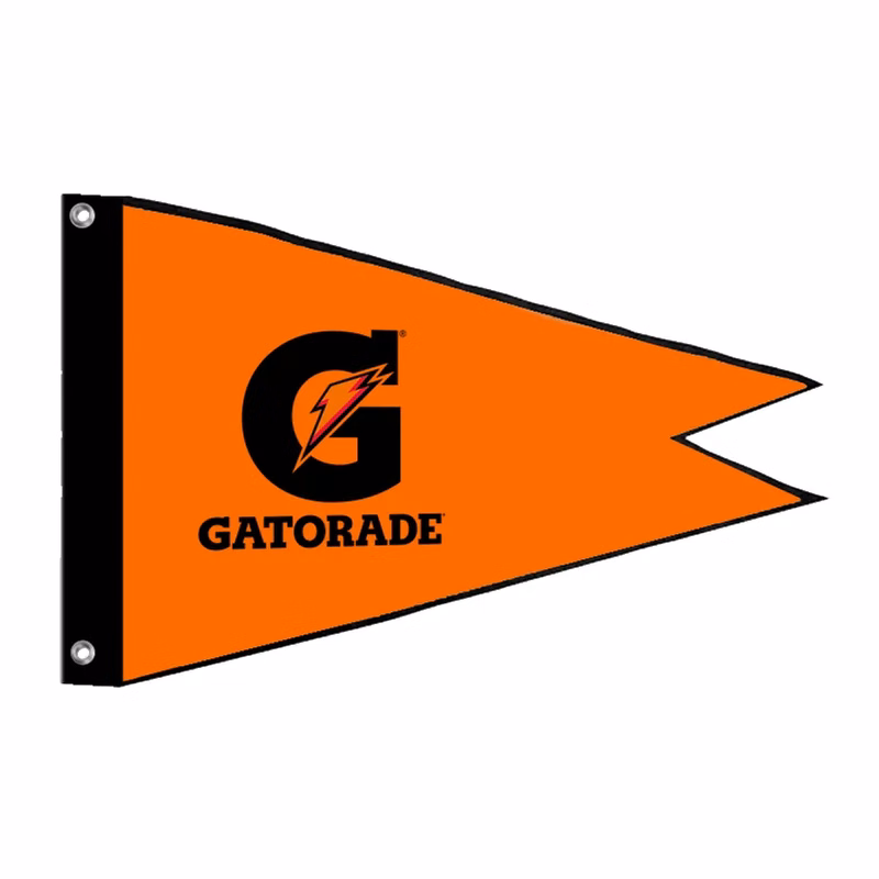 Burgee Flag