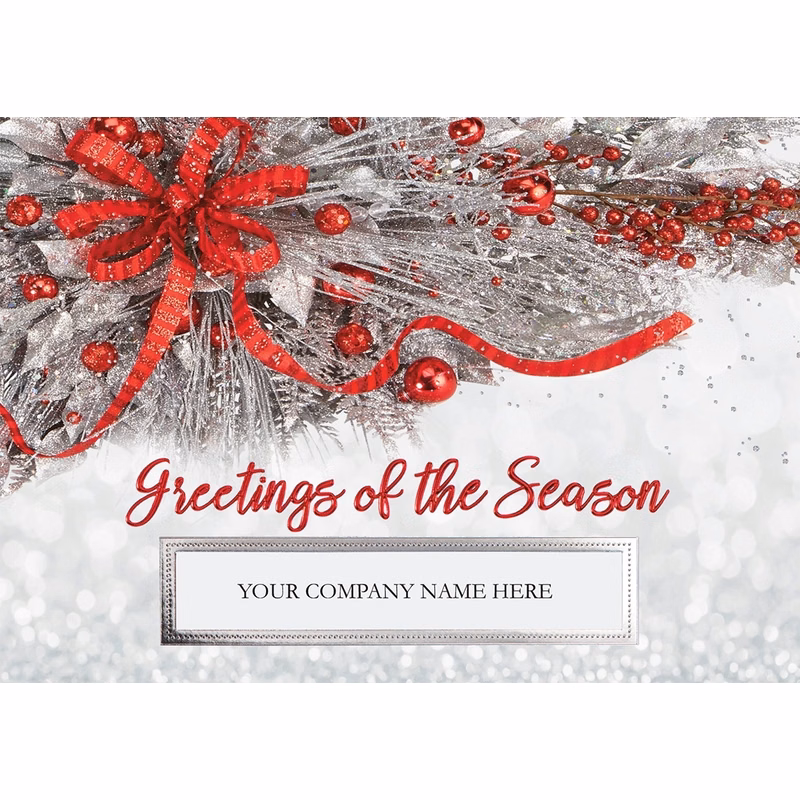 Silver Frost Holiday Cards