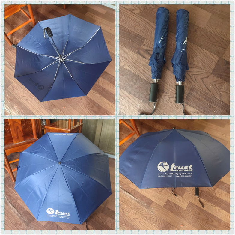 Umbrella with Auto Open