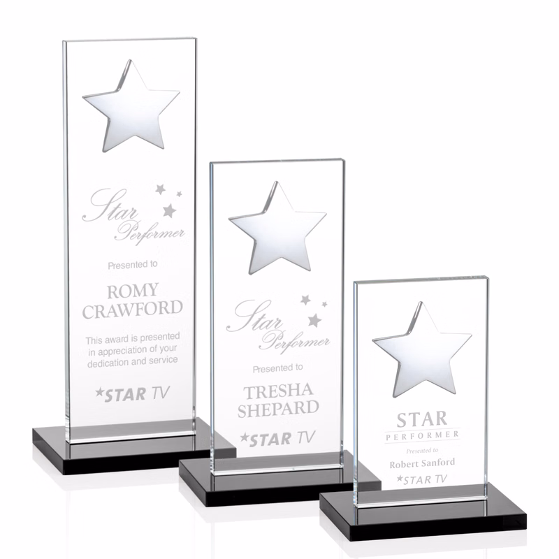 Dallas Star Award - Black/Silver