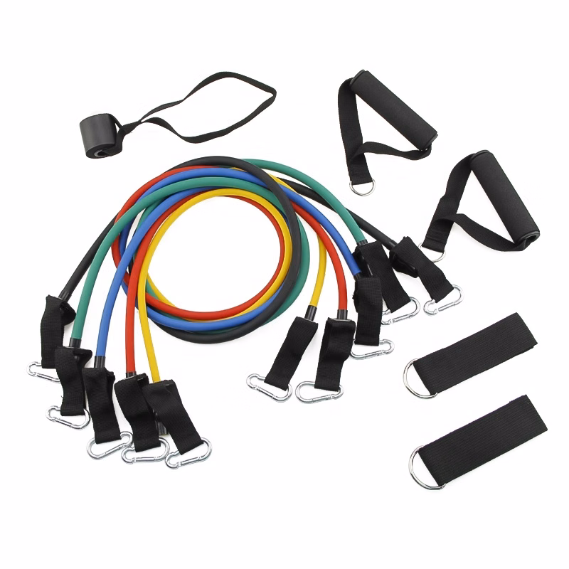 Resistance Bands with Carabiner