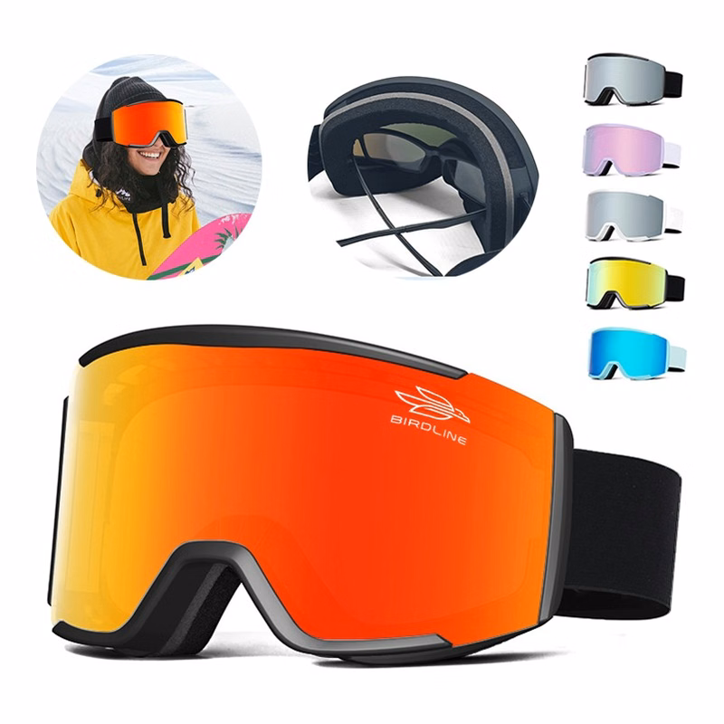 Anti-Fog Protection Ski Goggles