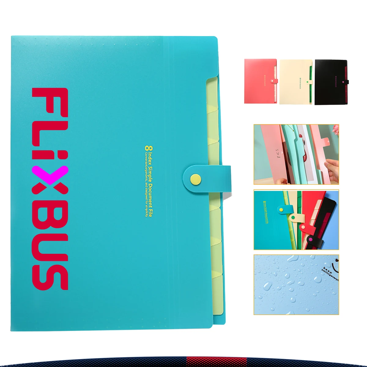 Accordion File Organizer 1