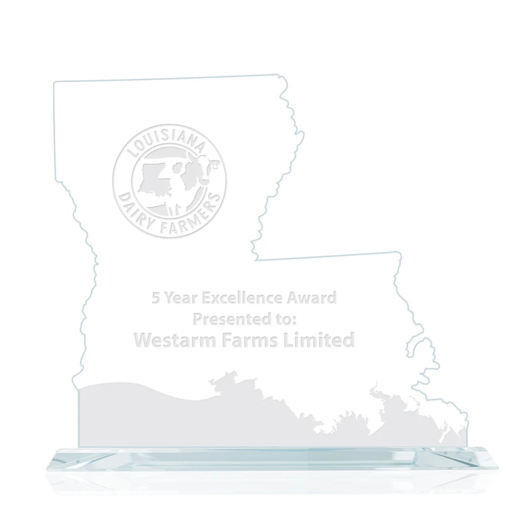 State Map Award - Louisiana 1
