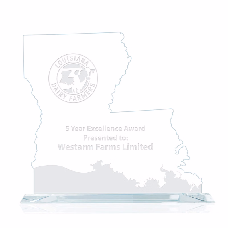 State Map Award - Louisiana