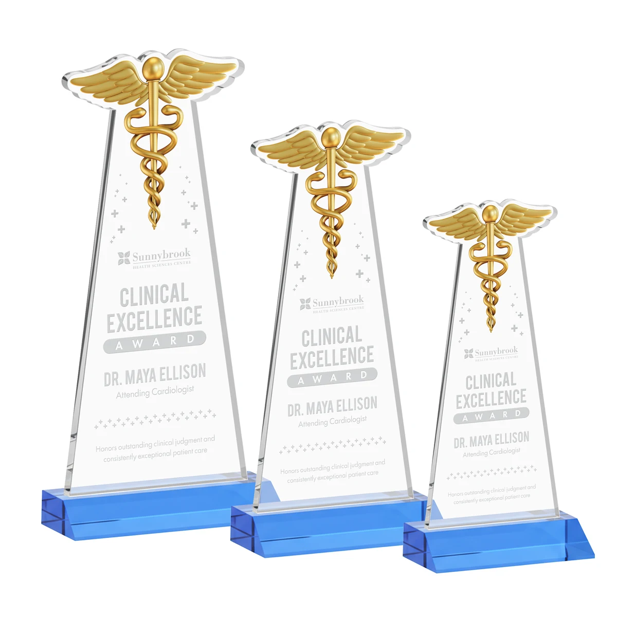 Caduceus Award - Sky Blue 1