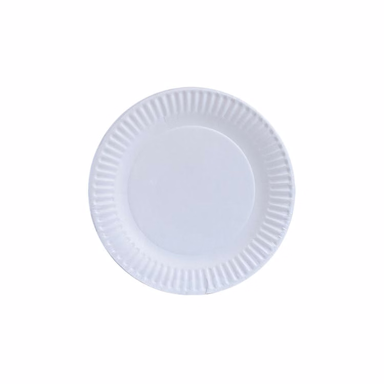 Paper Plates - White 9 Inch 100 Pack