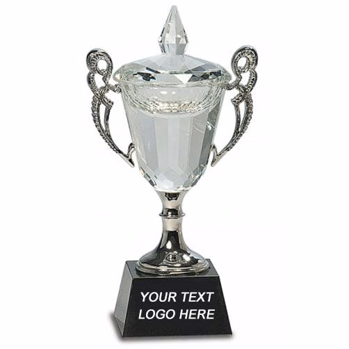 Crystal Cup: 8" w/Silver handles and stem