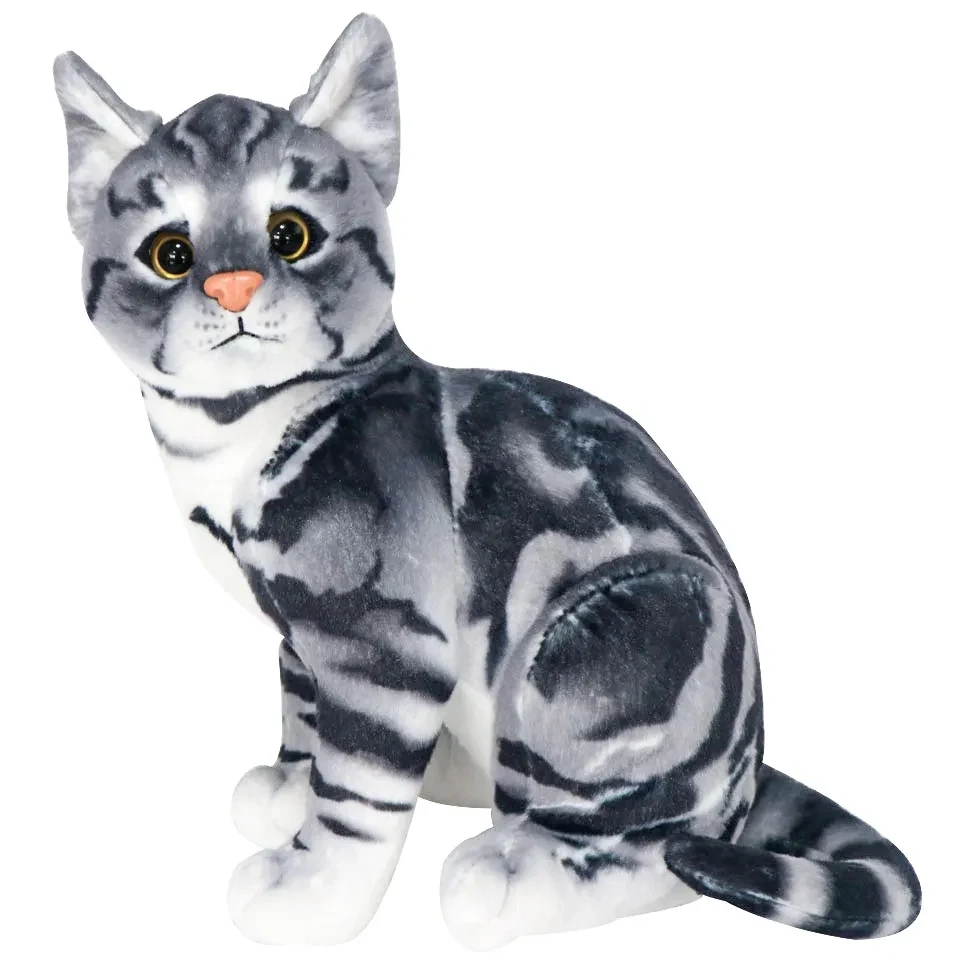 Looking Cats 1