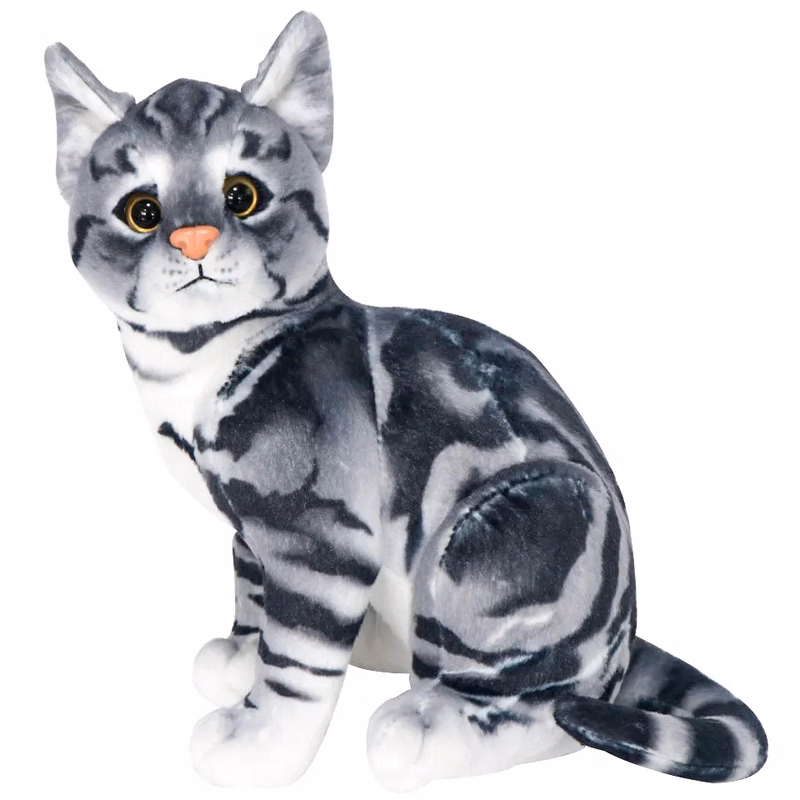Looking Cats