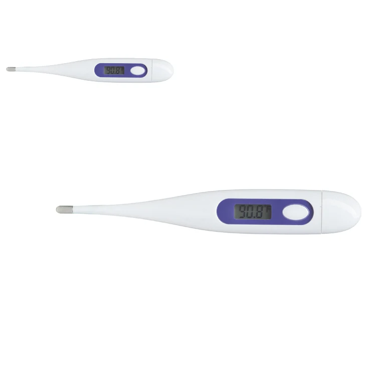Basic Digital Thermometer 1