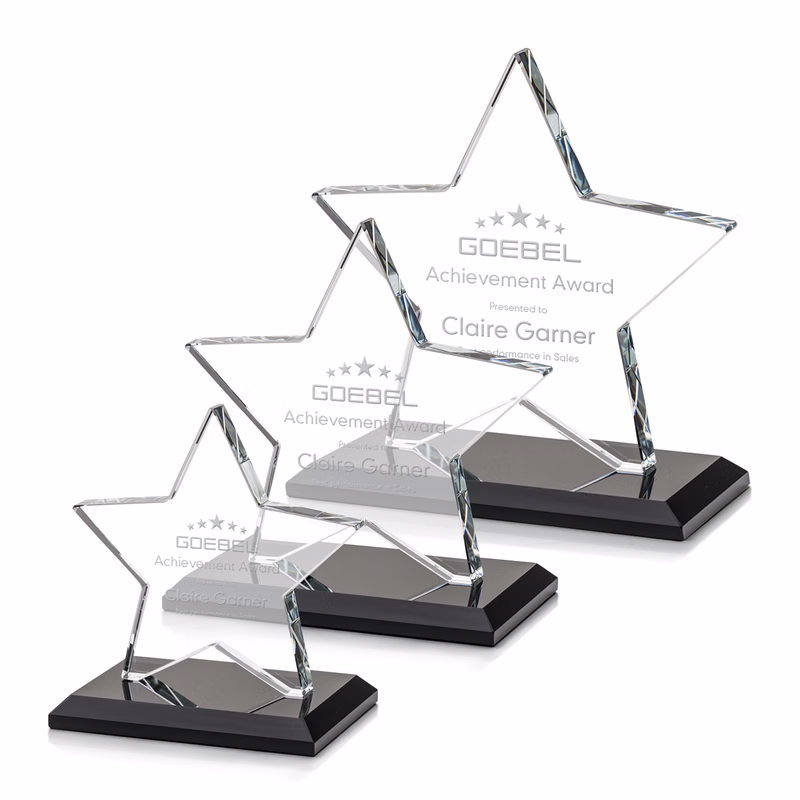 Sudbury Star Award - Black