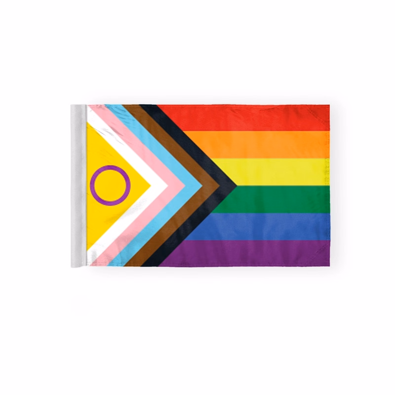 6''x9'' 2ply wPoly Intersex Progressive Pride MotorcycleFlag