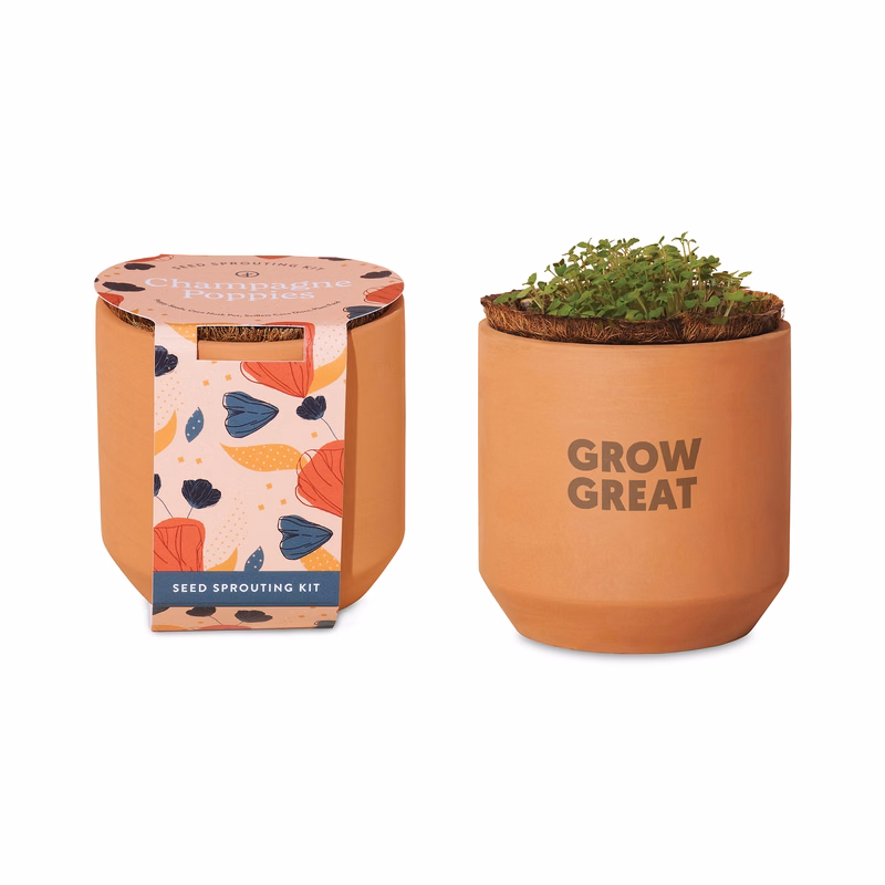 Modern Sprout® Tiny Terracotta Grow Kit Champagne Poppies