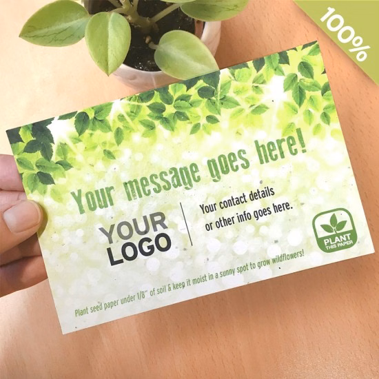 Go Green Medium Seed Paper Panel Cards