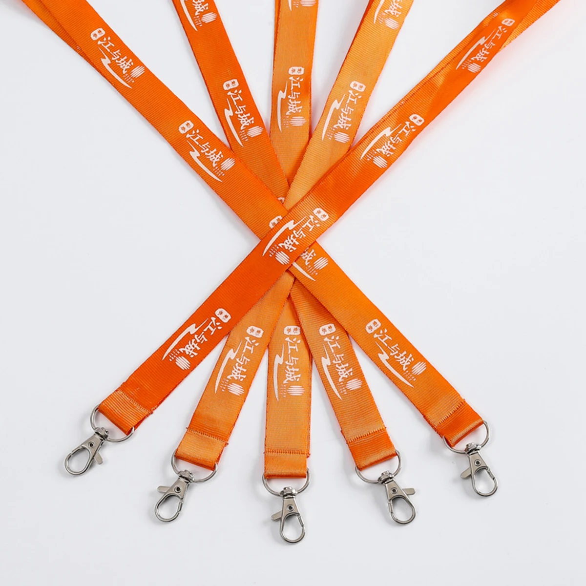 Lanyard With Clip 1