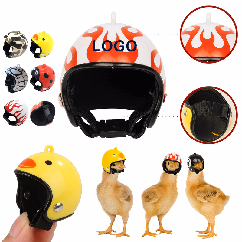 Mini Pet Helmet For Chickens