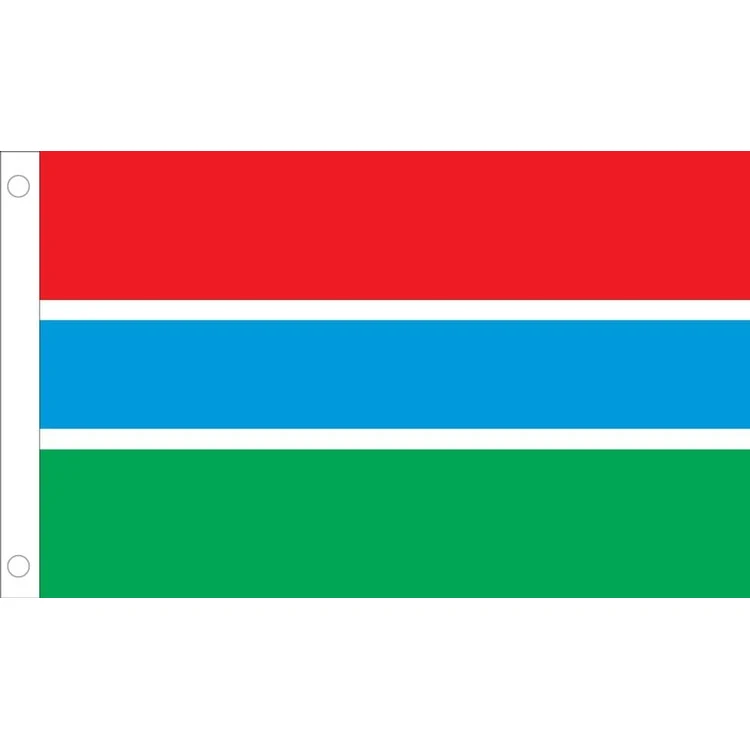 Gambia Flag - 2' x 3' - Nylon 1