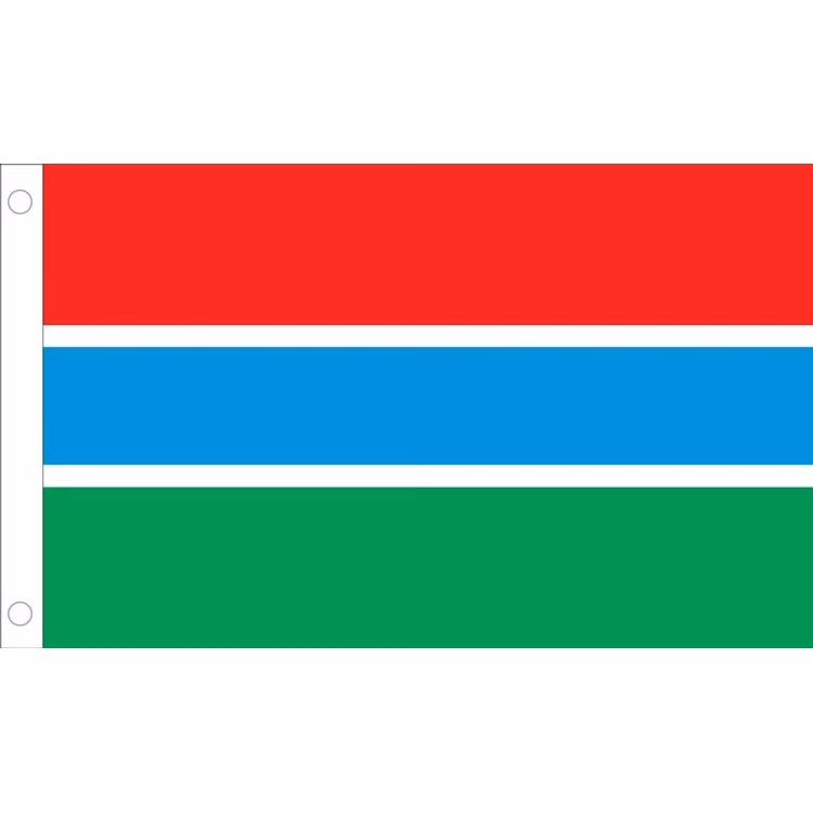 Gambia Flag - 2' x 3' - Nylon