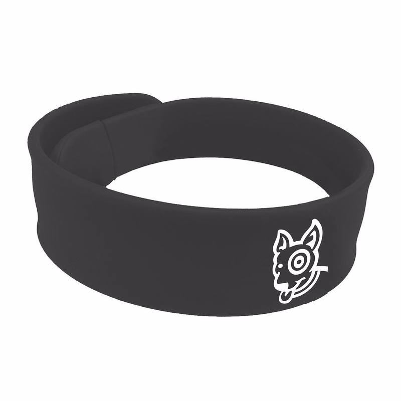 2 GB Slappy Drives Slap Bracelet & USB Hard Drive