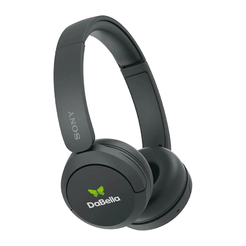 Sony Wireless Headphones With Microphone 1