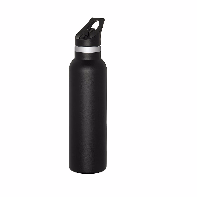 Double Wall Stainless Steel Water Bottle with Straw, 20 oz.