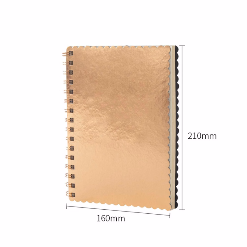Metallic Notebook