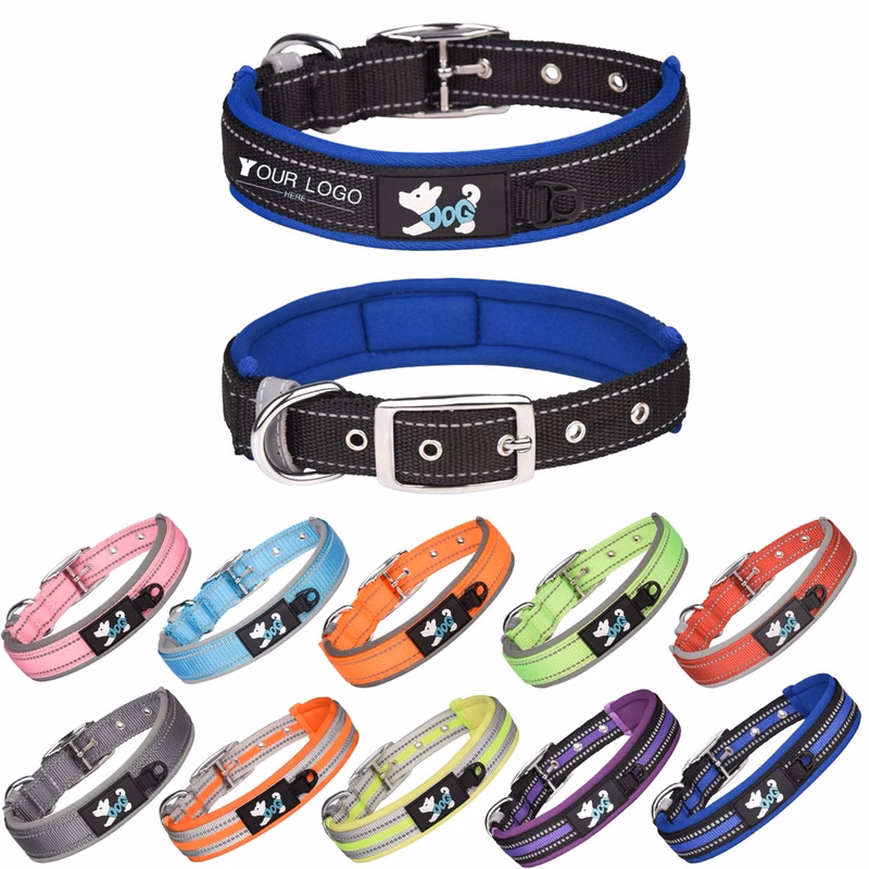 Padded Dog Collar 