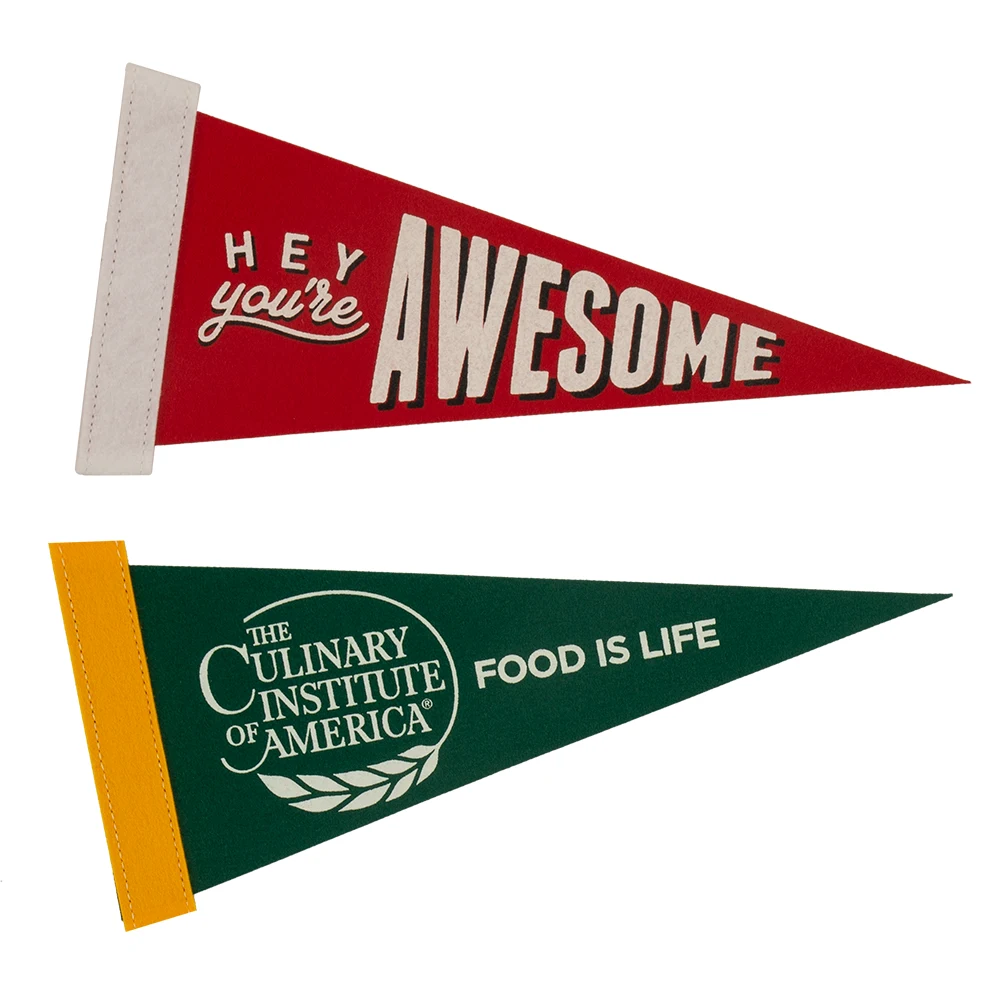 4" x 10" Colored Felt Pennant 1
