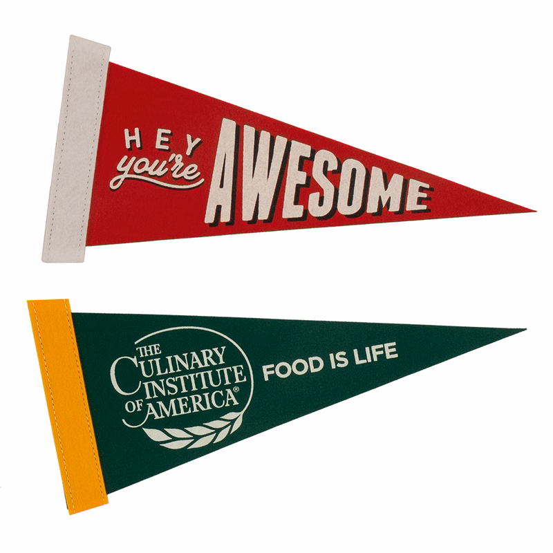 4" x 10" Colored Felt Pennant