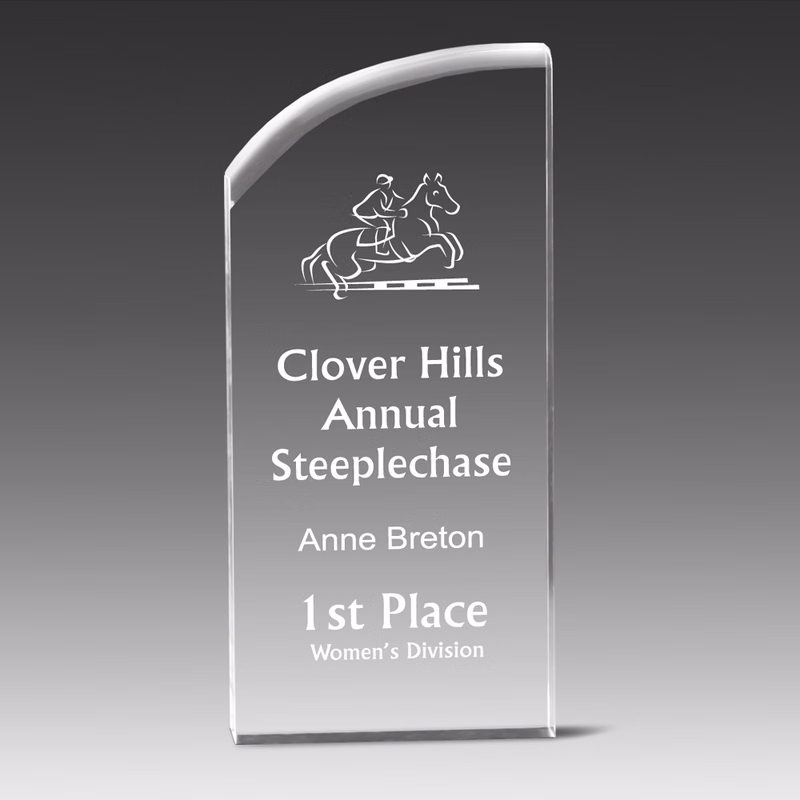 VAE Award w/Smooth Curved Accent (3"x8"x1")