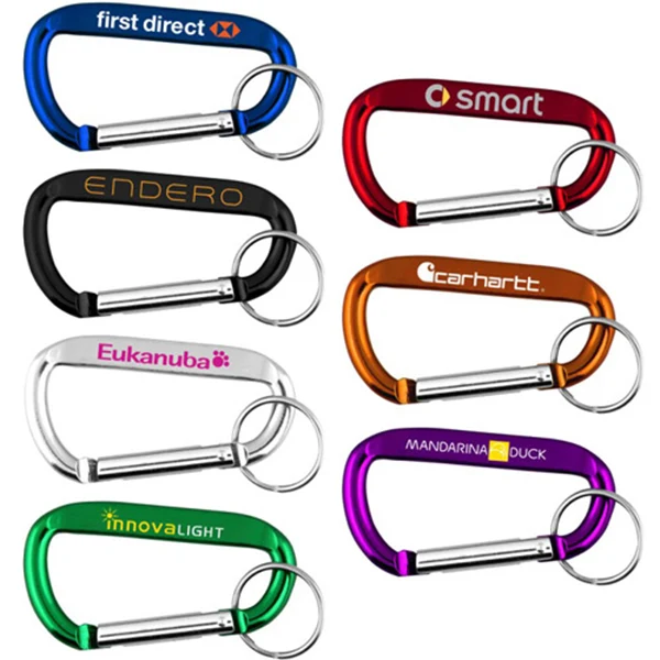 Carabiner Metal Clip With Keychain 1