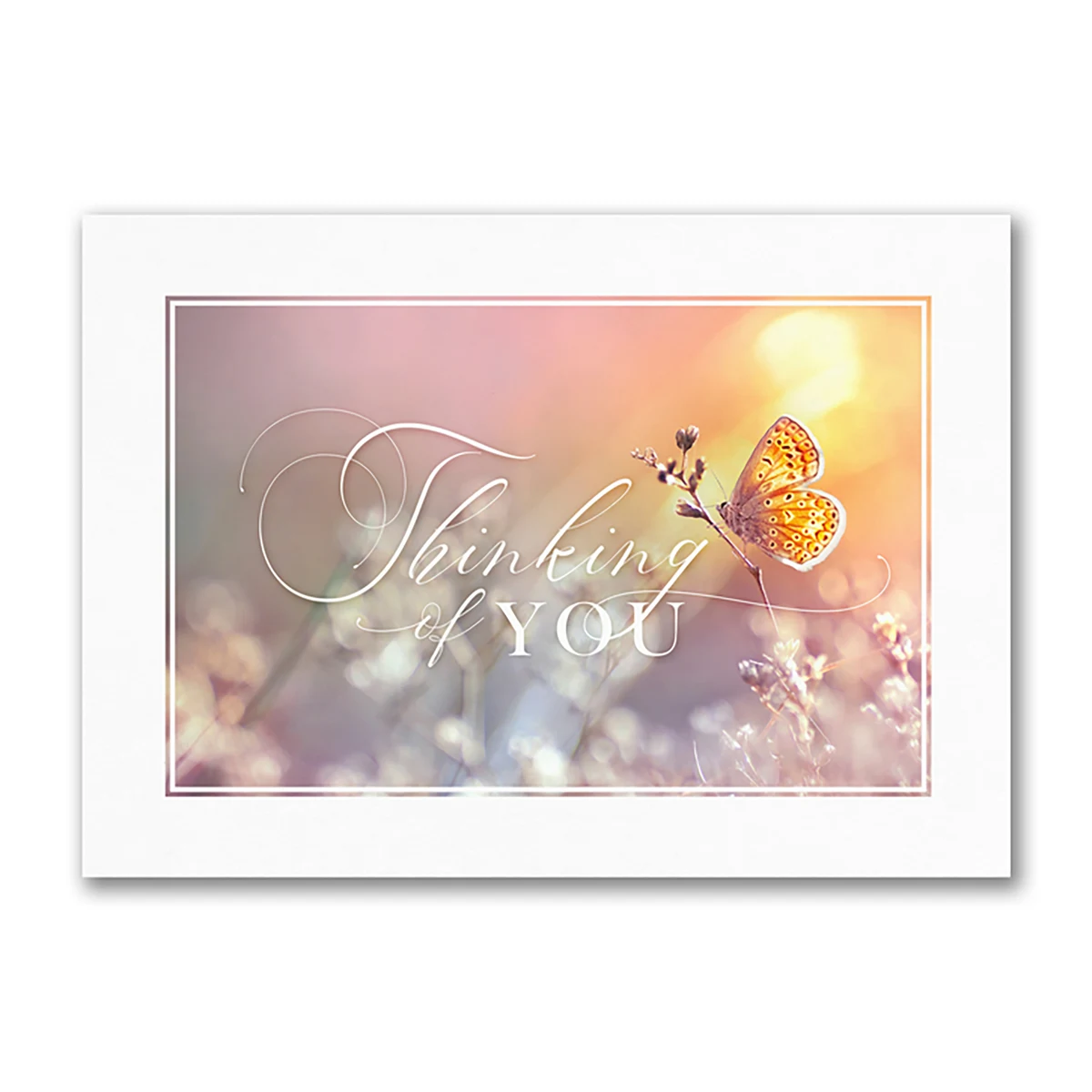Soft Thoughts Card 1