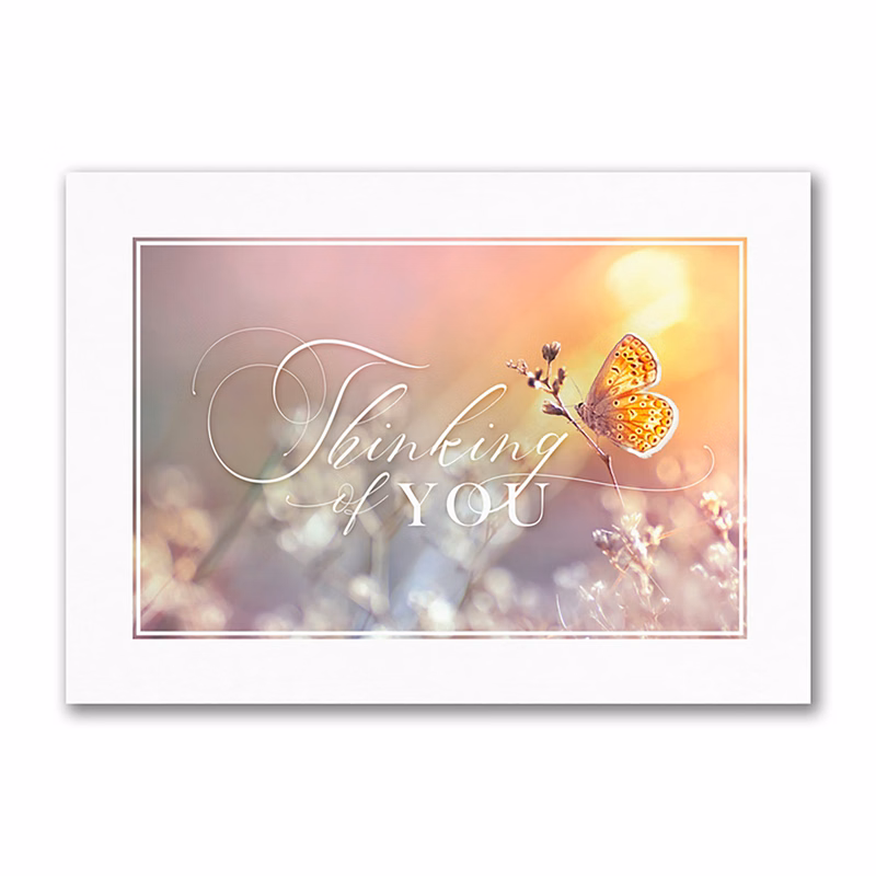 Soft Thoughts Card