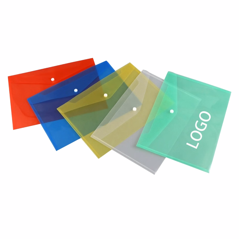 A4 Transparent Document Bag
