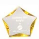 5 Inch Clear/Gold Luminary Star Acrylic Trophy 1