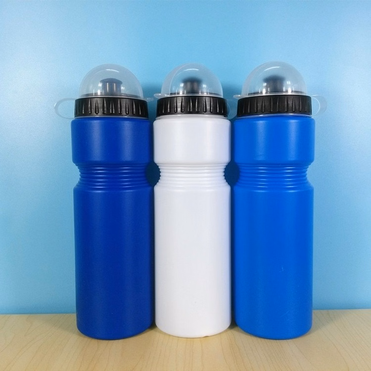 Plastic Customized Promotional Water Sport Bottle