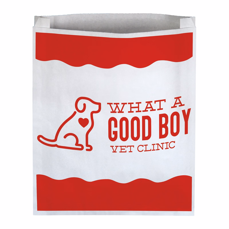 One Color 2-Sided Large Merchant Paper Bag (12" x 15" x 2.5")