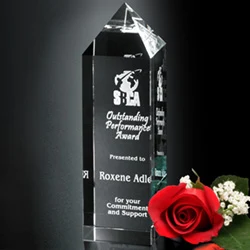 Buckingham Award 1