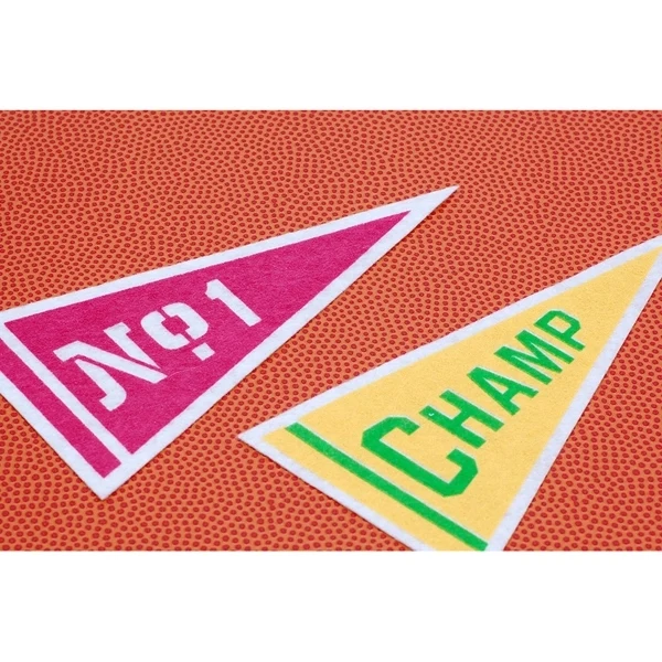 9" x 24" Acrylic Felt Pennant without Pole - Class D 1
