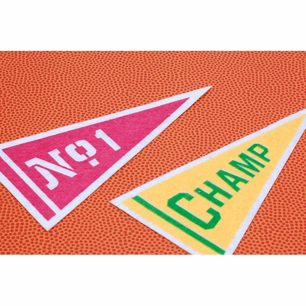 9" x 24" Acrylic Felt Pennant with Wood Pole - Class E