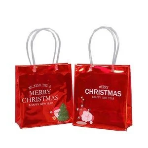Christmas Clear Git Bag 1