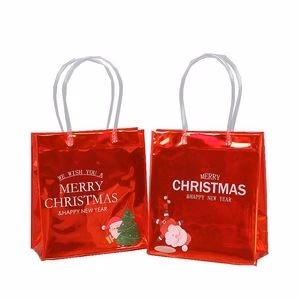 Christmas Clear Git Bag