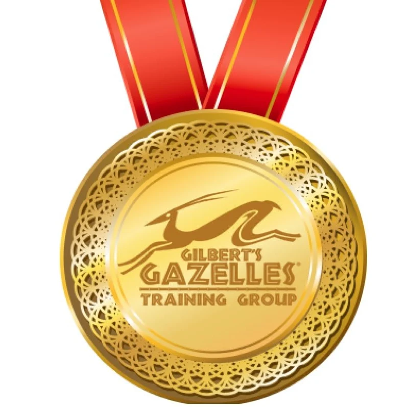 Customized Antique Gold Plated Solid Iron Medal 1