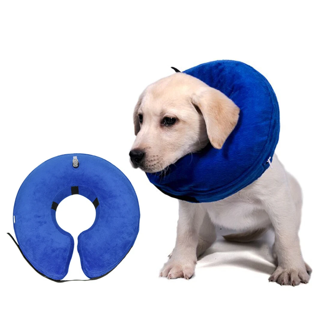 Inflatable Pet Cone Collar 1