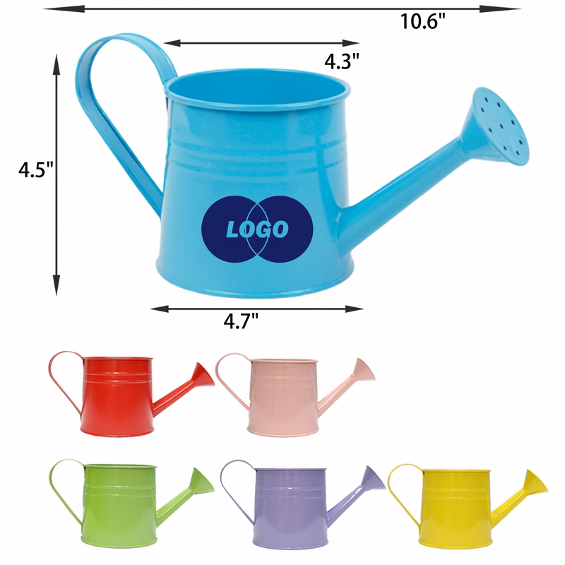 MOQ 50 PCS Sturdy Watering Can Flower Pot Ornament