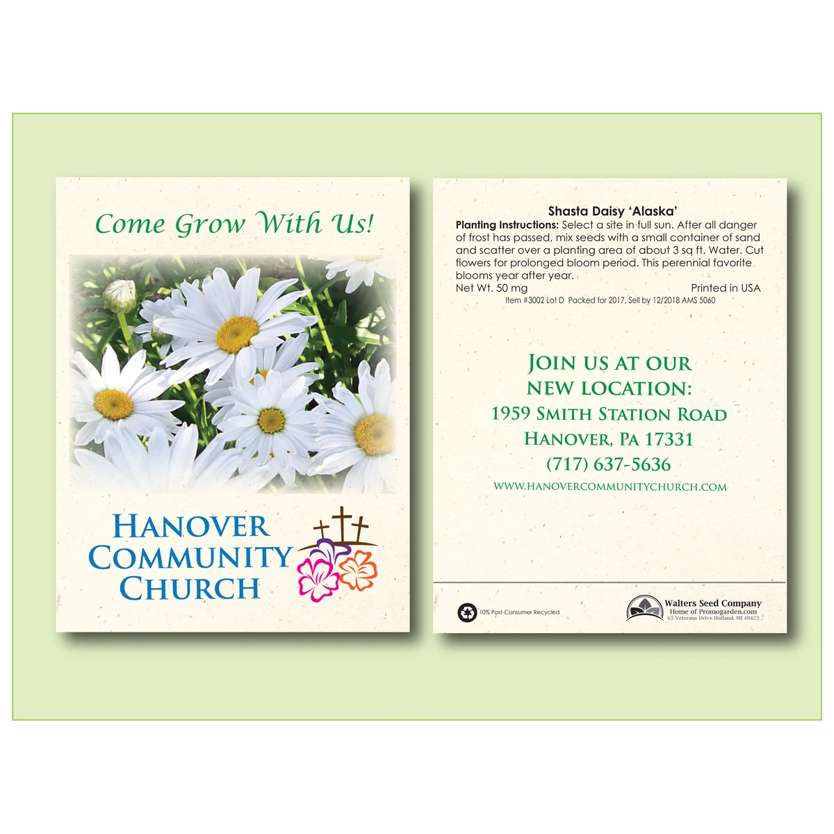 Shasta Daisy 'Alaska' Flower Seed Packet - Size 3.25" x 4.5" 1