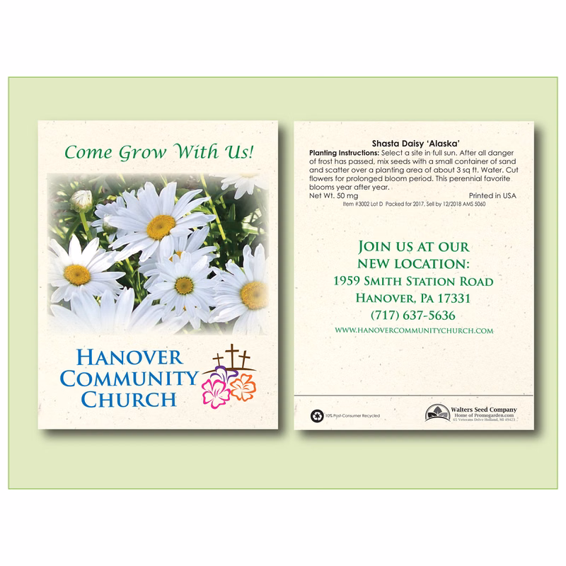 Shasta Daisy 'Alaska' Flower Seed Packet - Size 3.25" x 4.5"