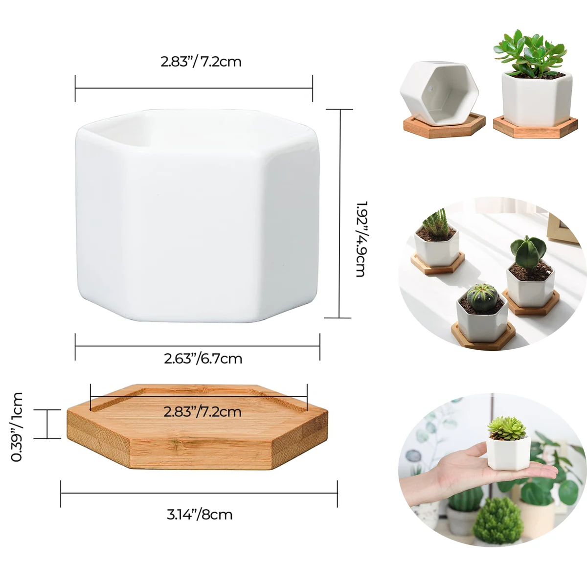 Small White Succulent Planter Pots 1